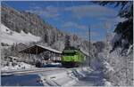 Ein Wintertraum! Trotz der aus Zeitgründen etwas eilig aufgesuchten spontanen Fotostelle bei Mannried zeigt sich die BLS Re 465 001 mit ihrem GoldenPass Express 4065 von Interlaken Ost nach
