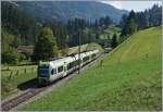 Die Lötschberger als Flügelzüge Bern- Spiez Brig-(Domo)/Zweisimmen sind Geschichte, MIKA haben die Leistungen übernommen. Im Bild der BLS RABE 535 115 unterwegs nach Bern bei Garstatt. 

18. Sept. 2020