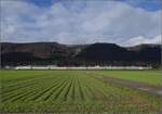 Ein bisschen Juras�dfuss.