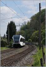 Wie im Jura, so sind auch auf der  Seeline  Betonfahrleitungsmaste zu finden, wie z.B in Berlingen.