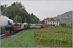 Jeweils am letzten Sonntag im Monat verkehrt der Blonay-Chamby Riviera Belle Epoque Zug, nach Vevey und dies mit mit zwei Zugspaaren am Morgen mit Dampf und am Nachmittag elektrisch.