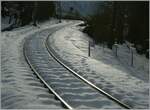 Ein Stimmungsbild der CEV Strecke bei Kilometer 3.8 (zwischen St-Légier Gare und St-Légier Village) .