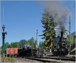 Blonay Chamby  Schweizer Dampf Festival 2019  - die 1890 gebaute LEB G 3/3 N° 5 erreicht die Bekohlungsanlage in Chaulin.