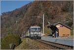 Eine MOB GDe 4/4 erreicht mit ihrem Panoramic-Express auf dem Weg von Montreux nach Zweisimmen die Haltestelle Sonzier und wird hier ohne Halt ducchfahren.
