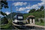 Ein Reisender und der MVR ABeh 2/6 7508 verlasen den kleinen Haltepunkt Châtelard VD.