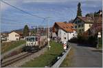 Von der SLM/BBC 1983 gebaut und an die GFM geliefert, übernahm die MOB von der TPF 2008 die GDe 4/4 102  Neirivue  (mit der Schwesterlok GDe 4/4 101) und setzt sie seitdem als GDe 4/4 6006 ein.