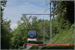 Da die GPX Z�ge jeweils mit der Lok in Richtung Zweisimmen verkehren, war ich oberhalb von Chamby auf der Suche nach einer Fotostelle und fand bei Kilometer 8.2 eine interessante Stelle mit der sogenannte  Windschiefen Fahrleitung , die sich aber nur f�r kurze Z�ge eignet, bzw. es nicht m�glich ist, den ganzen Zug aufs Bild zu bekommen. Im Bild der f�hrende MOB Be 4/4 9204 ALPIA mit ihrem PE 30 2220 nach Zweisimmen.

2. Mai 2026