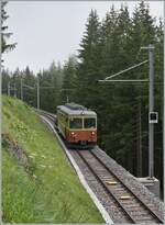 Der  BLM Mischbetrieb  mit den aktuellen und den neuen Triebwagen dauerte nur einen kurzen Sommer lang. So ging es darum nochmals die bald aus dem Betrieb scheidende Be 4/4 festzuhalten und auch den eine oder anderen nene Be 4/6 zu fotografieren. Ende Juli war ein Be 4/6 und zwei Be 4/4 im Einsatz, so dass nochmals die Be 4/4 gut zu fotografieren waren.
Hier erreicht der Be 4/4 N� 21 von der Gr�tschalp kommend in K�rze M�rren. 

23. Juli 2024

 hier k, so nonaus i 
In M�rren stehen der angekommene neue BLM Be 4/6 102  M�nch  und der gleich abfahrende BLM Be 4/4 31 Lisi zu sehen.

23. Juli 2024