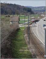 Auf schmaler Spur f�hrt das Waldenburgerli durchs Waldenburgertal. Das Bild entstand kurz vor Lampenberg-Ramlinsburg. Der Zug mit einem BDe 4/4 an der Spitze ist auf der Fahrt von Liestal nach Waldenburg. 

25. M�rz 2021 