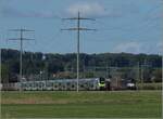Vectron 193 718 der MRCE begegnet RABe 515 019 und RABe 515 038 bei Bollodingen.