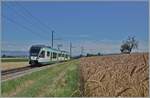Der LEB RBe 4/8 N° 48 ist als R20 zwischen Bercher und Fey auf dem Weg nach Cheseaux mit Anschluss nach Lausanne per SEV infolge Sommerbauarbeiten.